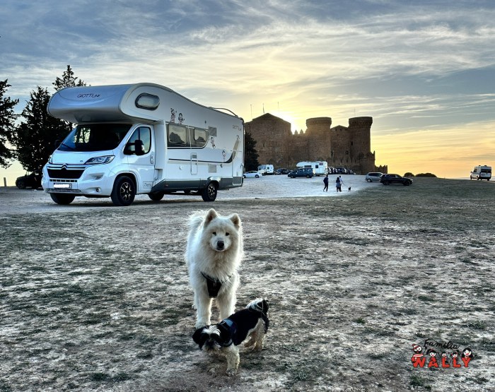 Foto en belmote con la autocarvana y los perros